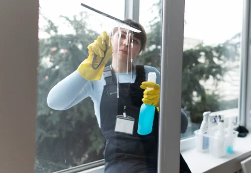 Nettoyage de vitres intérieures et extérieures à Souilhanels